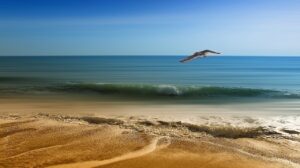 Urlaub Bulgarien Sonnenstrand (Sehenswürdigkeiten)