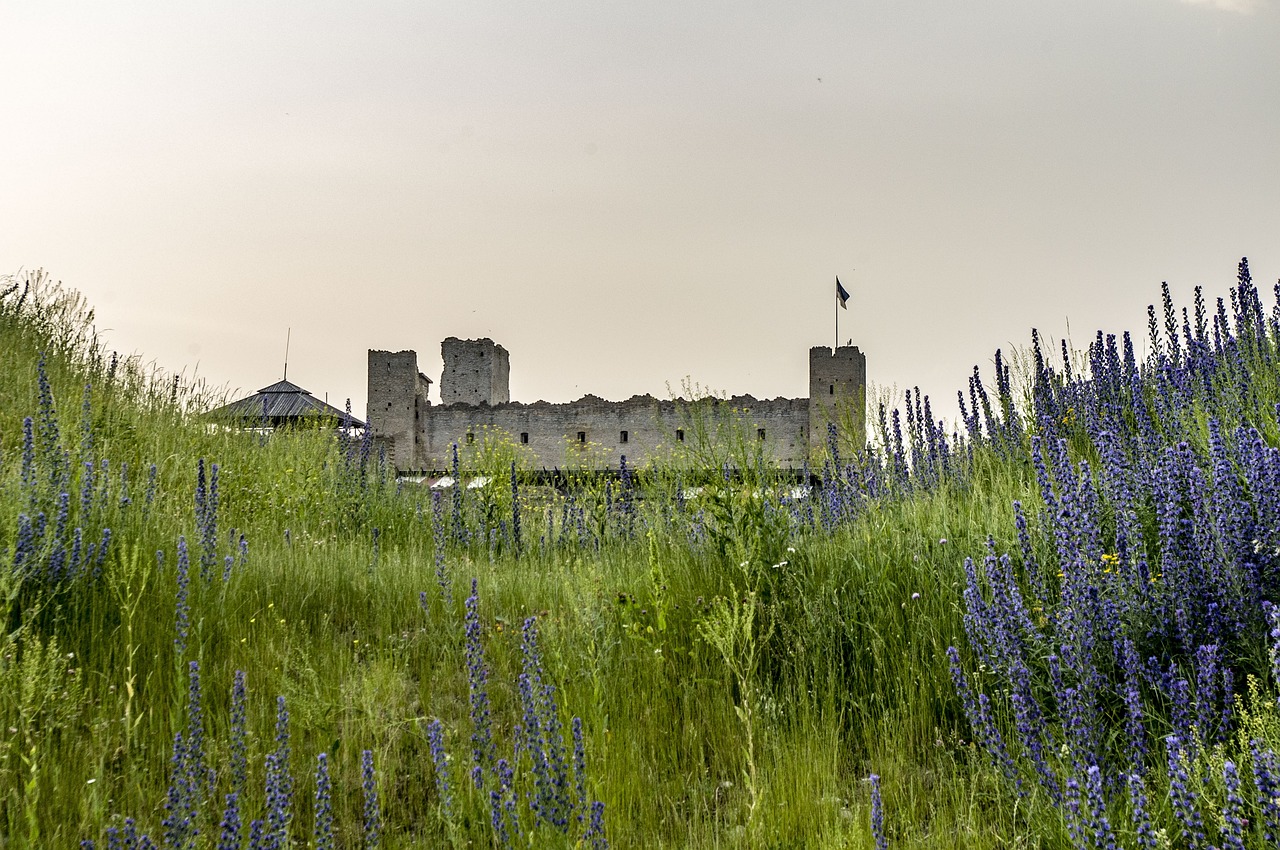 Urlaub Estland Rakvere (Sehenswürdigkeiten)