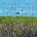 Urlaub Finnland Espoo (Sehenswürdigkeiten)