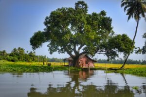 Urlaub Indien Kerala Alleppey (Sehenswürdigkeiten)