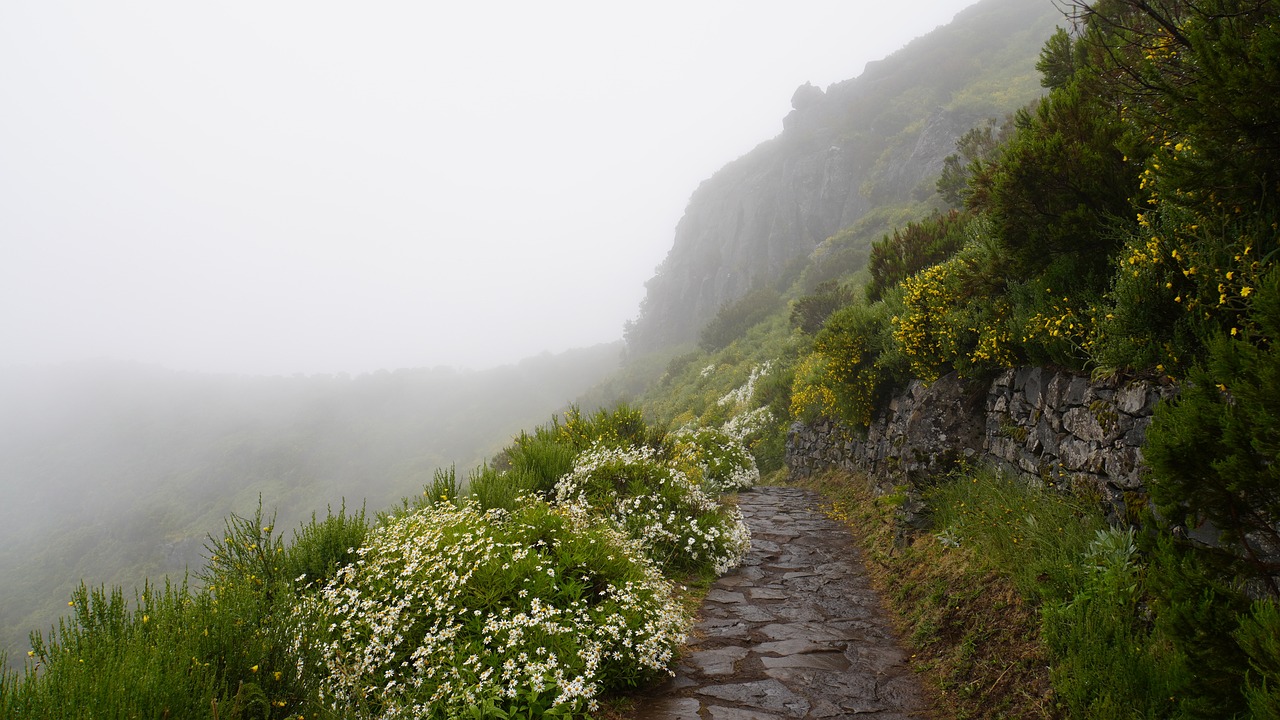 Urlaub Portugal Pico (Sehenswürdigkeiten)