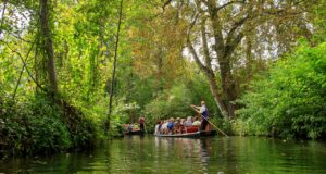 Urlaub Sachsen Spreewald (Sehenswürdigkeiten)