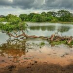 Urlaub Sri Lanka Yala Nationalpark (Sehenswürdigkeiten)