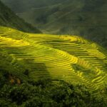 Urlaub Vietnam Sapa (Sehenswürdigkeiten)