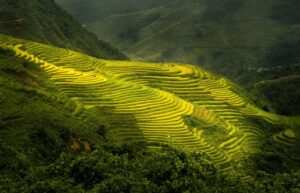 Urlaub Vietnam Sapa (Sehenswürdigkeiten)