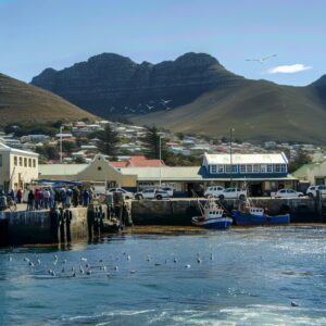 Urlaub Südafrika • Simons Town (Sehenswürdigkeiten)