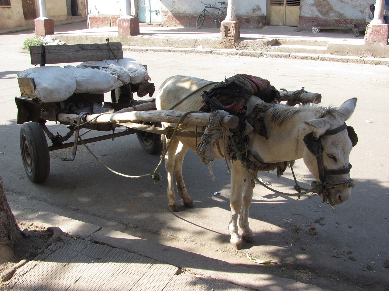 Urlaub Eritrea Asmara (Sehenswürdigkeiten)