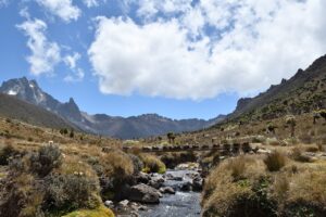 Urlaub Kenia • Mount Kenya Nationalpark (Sehenswürdigkeiten)