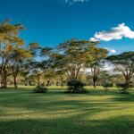 Urlaub Kenia • Naivasha (Sehenswürdigkeiten)