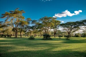 Urlaub Kenia • Naivasha (Sehenswürdigkeiten)