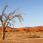 Urlaub Namibia • Kalahari-Wüste (Sehenswürdigkeiten)