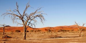 Urlaub Namibia • Kalahari-Wüste (Sehenswürdigkeiten)