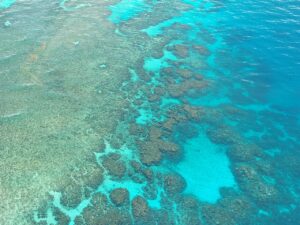 Urlaub Australien • Great Barrier Reef (Sehenswürdigkeiten)