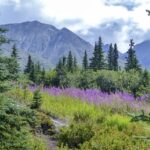 Urlaub USA • Alaska Denali Nationalpark (Sehenswürdigkeiten)